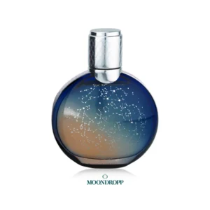 عطر (ادکلن) ون کلیف اند آرپلز میدنایت این پاریس - Van Cleef & Arpels Midnight in Paris